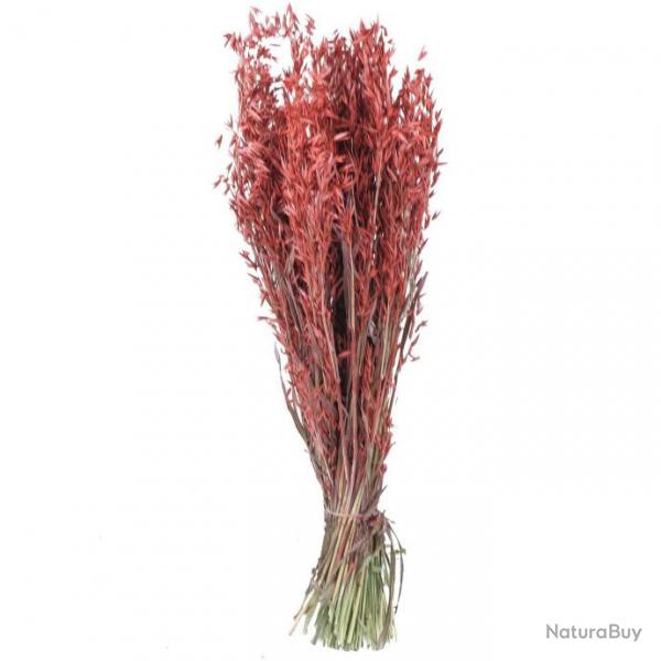 Bouquet fleurs sches avoine rouge - 70 cm