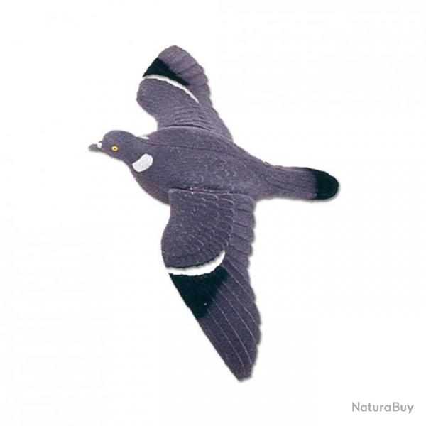 Pigeon floqu, ailes battantes