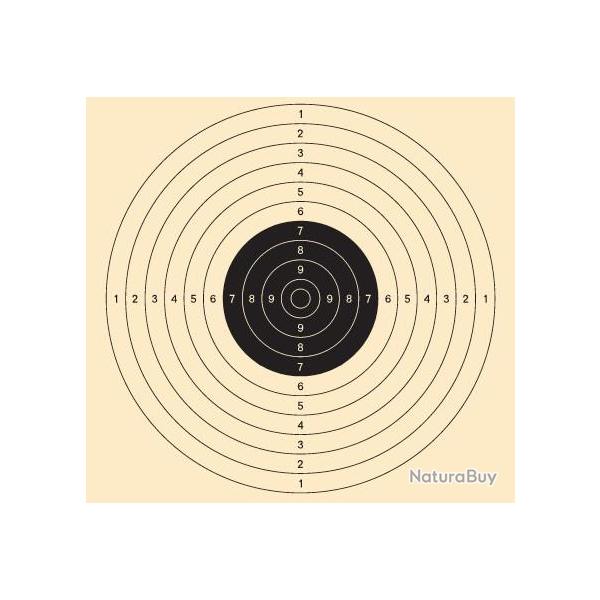 Cible de tir carton 55 X 55 cm