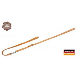 Laisse AKAH pour chien avec fermoir crochet spécial ouvert Longeur 1,60m Largeur 14mm Beige