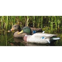 appelant canard