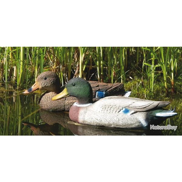appelant canard