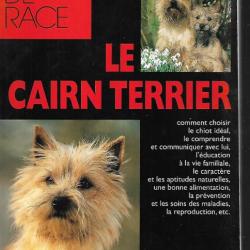 le cairn terrier  , chiens de race , origine , standards, caractéristiques , alimentation,