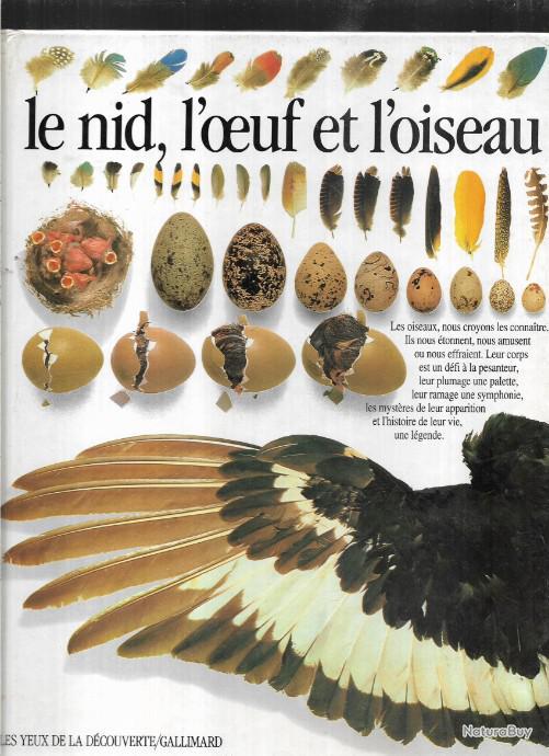 Le nid , l'oeuf et l'oiseau série les yeux de la découverte david burnie Livres sur les Le nid , l'oeuf et l'oiseau série les yeux de la découverte david burnie Livres sur les