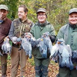 Chasse aux pigeons et palombes - Destination Sologne