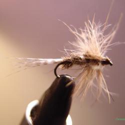 Mouche sèche émergente collerette et corps lièvre