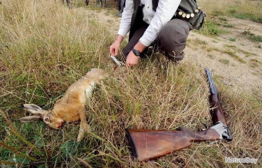 Action De Chasse Disponible 2022 2023 72