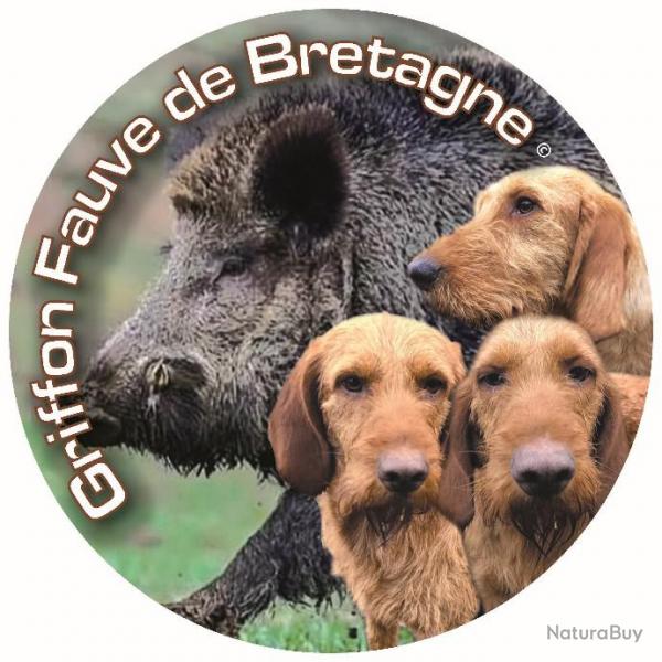 Autocollants Griffon Fauve de Bretagne Sanglier