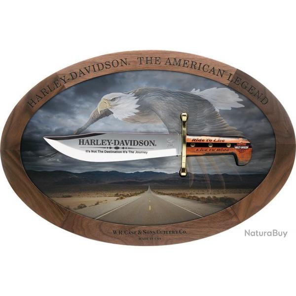Couteau Bowie Harley Davidson avec prsentoir en bois CA5214807