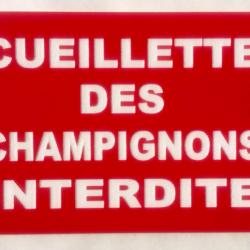 Panneau "CUEILLETTE DES CHAMPIGNONS INTERDITE" format 200 x 300 mm fond ROUGE