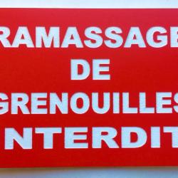 Panneau "RAMASSAGE DE GRENOUILLES INTERDIT" 300x400 mm