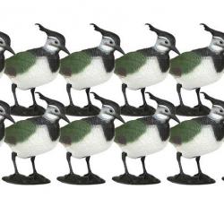 Formes de vanneau x12