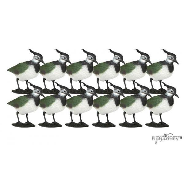 Formes de vanneau x12