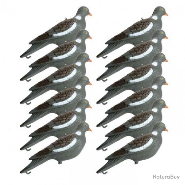 12 formes de pigeon avec piquet
