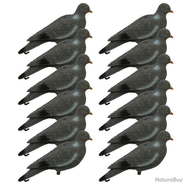 12 formes de pigeon floque