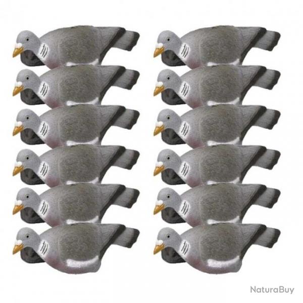 Formes de pigeon coquille x12