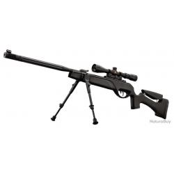 Carabine Gamo HPA IGT 19.9 joules 4.5 mm + lunette 3-9 x 40 WR + bipied