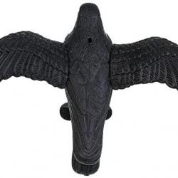 Appelant corbeau à ailes déployées Noir