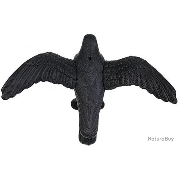 Appelant corbeau  ailes dployes Noir