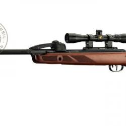 Carabine à plombs GAMO Fast Shot 10X IGT 4,5 mm (19,9 joules) + lunette 4x32 WR