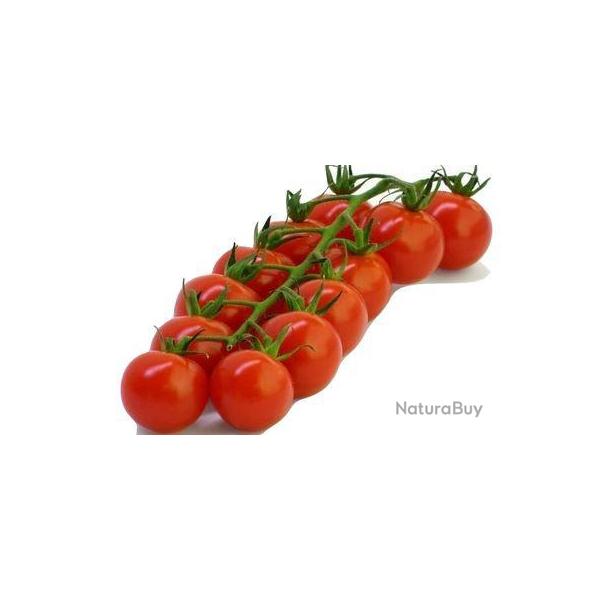 graines de Tomate Cerise Avril
