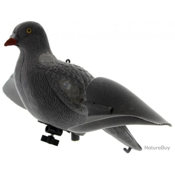 Appelant pigeon floqu  ailes tournantes