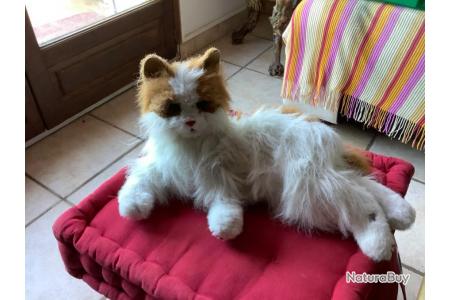 Peluche Chat Interactif Pas De Prix De Reserve Jouets