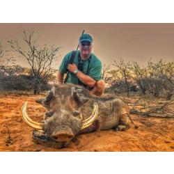 Chasse du phacochère dans le Limpopo / Package 7 animaux .
