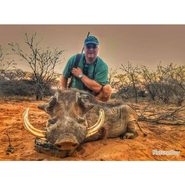 Chasse du phacochère dans le Limpopo / Package 7 animaux .