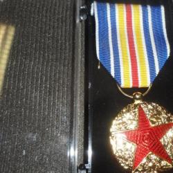 Médaille Ordonnance Blessé / Médailles des Blessés de Guerre