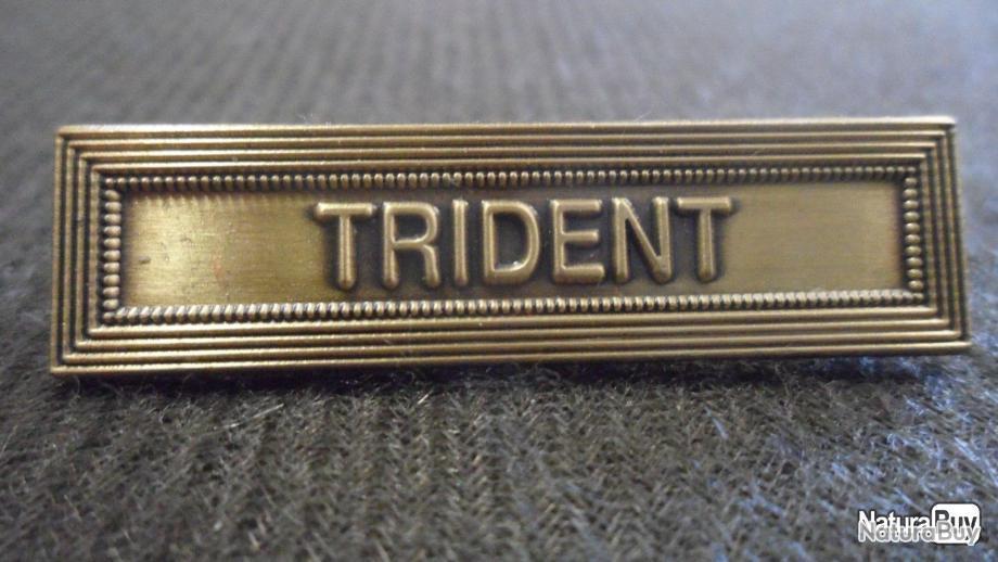 Agrafe TRIDENT sur la médaille de la protection militaire du territoire MPMT Médailles Agrafe TRIDENT sur la médaille de la protection militaire du territoire MPMT Médailles