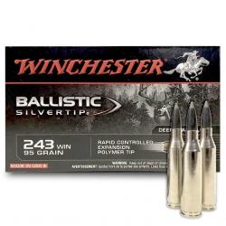 Winchester Ballistic Silvertip 243 Win : 95 Grs