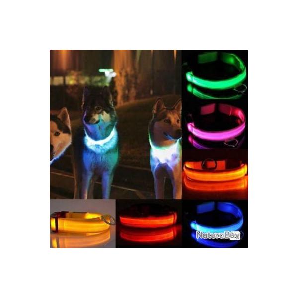 collier pour chien en nylon avec clairage led pour la nuit - LIVRAISON GRATUITE !!