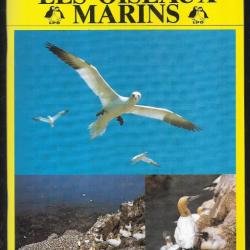 les oiseaux marin réserve naturelle des sept-iles lpo