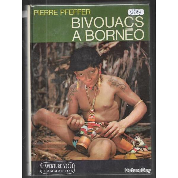 bivouacs  borno de pierre pfeffer tribu dayaks et pounans