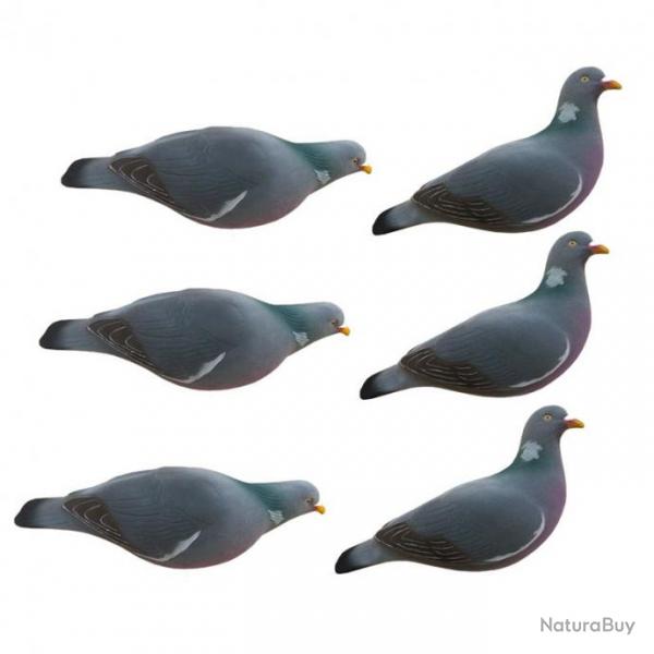 Formes de pigeon floques Last Pass x6