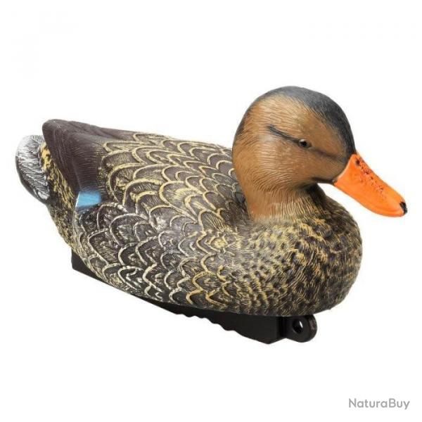 Appelant colvert femelle HD Stepland - Par 6