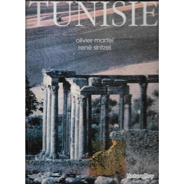 majestueuse tunisie d'olivier martel et ren sintzel