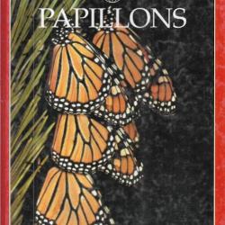 papillons atlas nature
