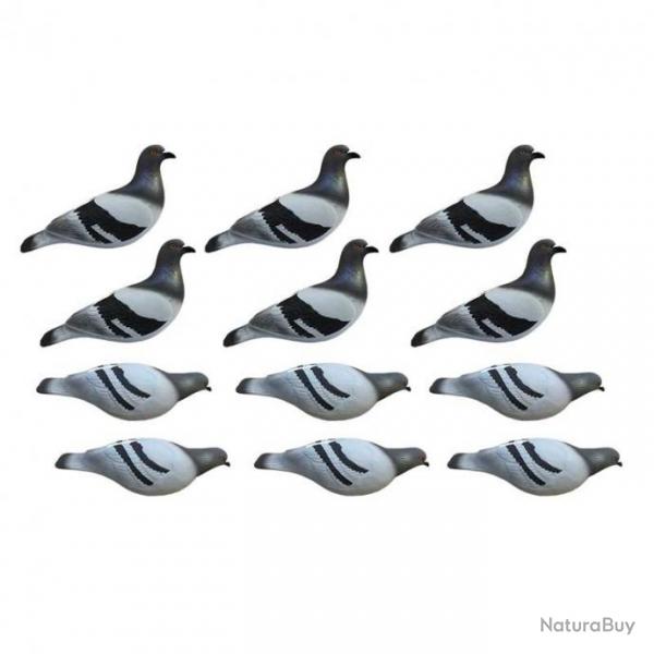 Formes de pigeon biset HD x12