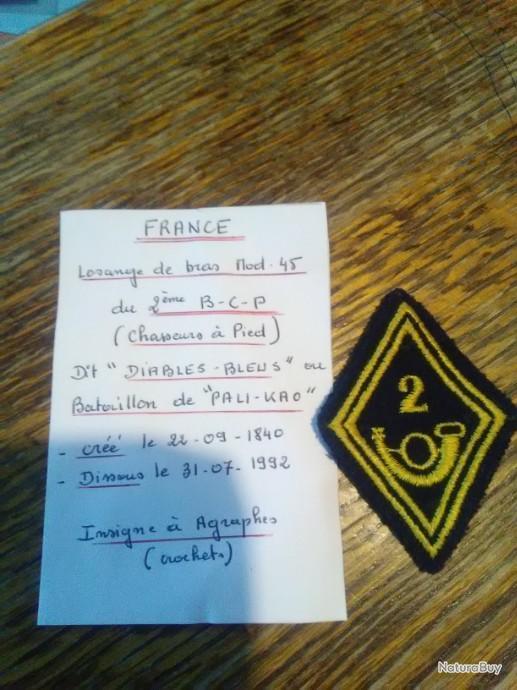Insigne Original 1er BCP Chasseurs à Pied - Cathédrale De Strasbourg, Années 1940 - AB Déposé