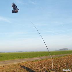 Mât télescopique pour cerf volant effaroucheur
