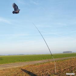 Mât télescopique pour cerf volant effaroucheur