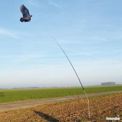 Mât télescopique pour cerf volant effaroucheur