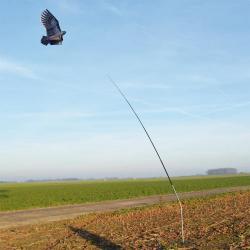 Mât télescopique pour cerf volant effaroucheur