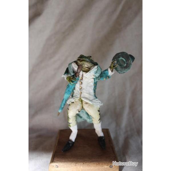 taxidermie grenouille dandy taxidermy frog curiosit oditties