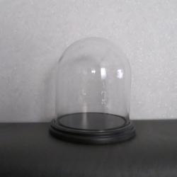 Magnifique grand globe verre cloche 20 X 23 cm  taxidermie pour vos créations