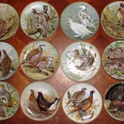 Collection complète d'assiettes "les oiseaux sauvages du monde" par le médaillé Franklin