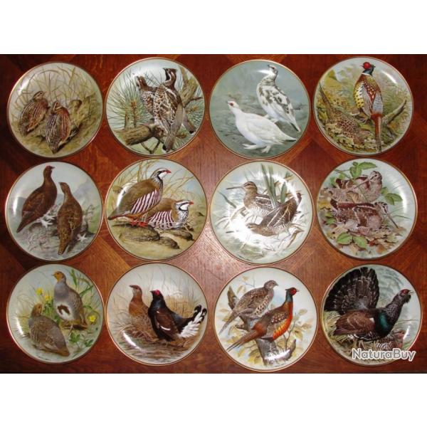 Collection complte d'assiettes "les oiseaux sauvages du monde" par le mdaill Franklin