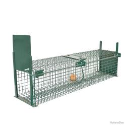 Belettière à oeufs (piège à belette)